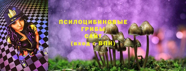 амф Алзамай